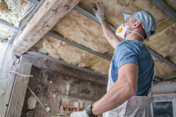 Best Insulation Installation Services in Chelsea Cove, NY